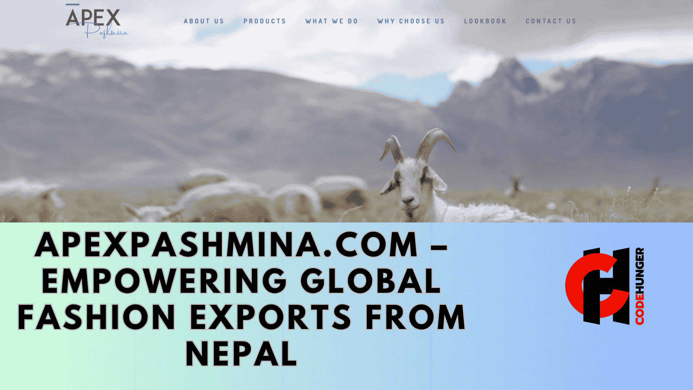 Case Study: ApexPashmina.com – Empowering Global Fashion Exports from Nepal Introduction